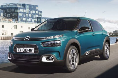 C4 Cactus (18-)