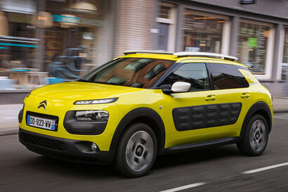 C4 Cactus (14-18)