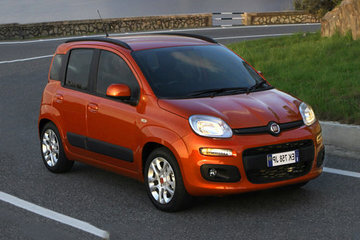 Panda (11-)
